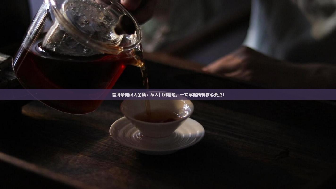 普洱茶知识大全集