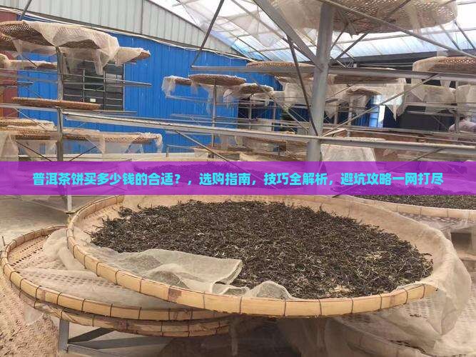 普洱茶饼买多少钱的合适
