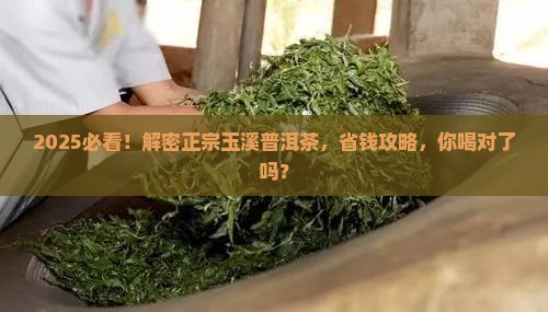 正宗玉溪生产的普洱茶