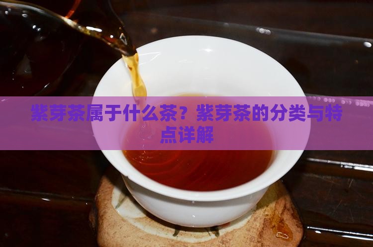 紫芽茶属于什么茶