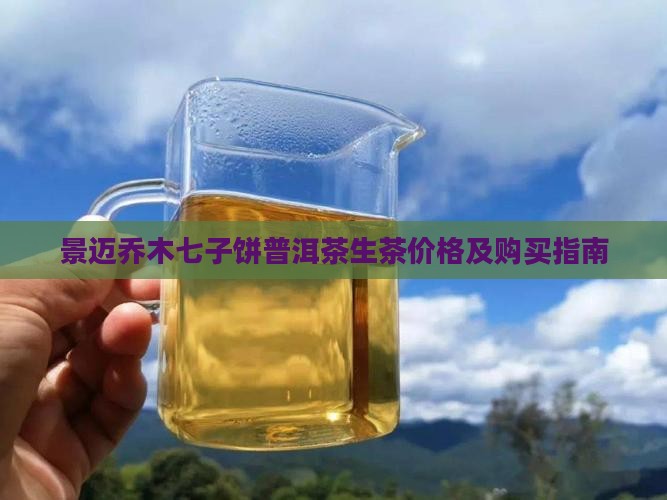 景迈乔木七子饼普洱茶生茶