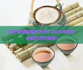 哪个普洱茶品牌用的古树