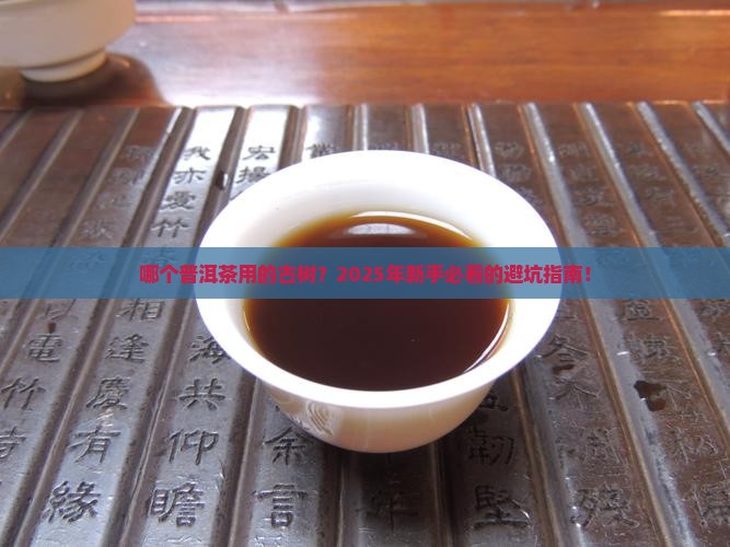 哪个普洱茶品牌用的古树