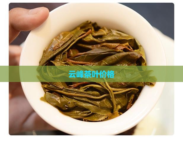 秦顶云峰茶叶孤峰