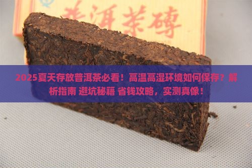 夏天存放普洱茶