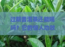 过期普洱茶的功能与主治