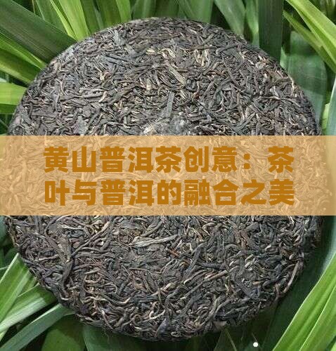 黄山普洱茶创意