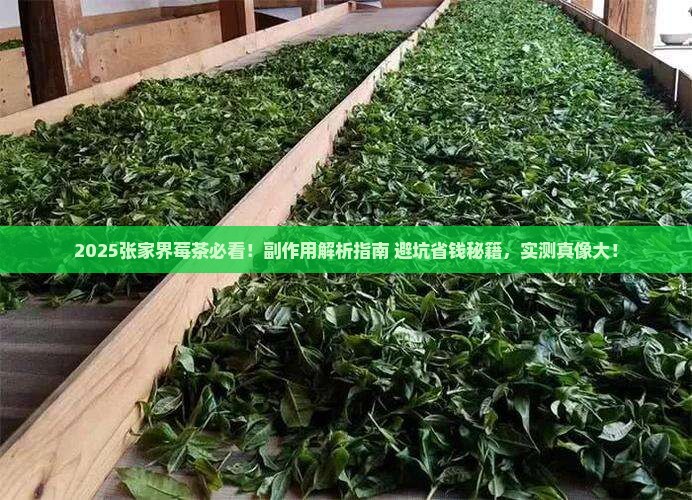 张家界莓茶有什么副作用
