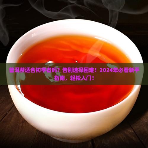 普洱茶适合初学者
