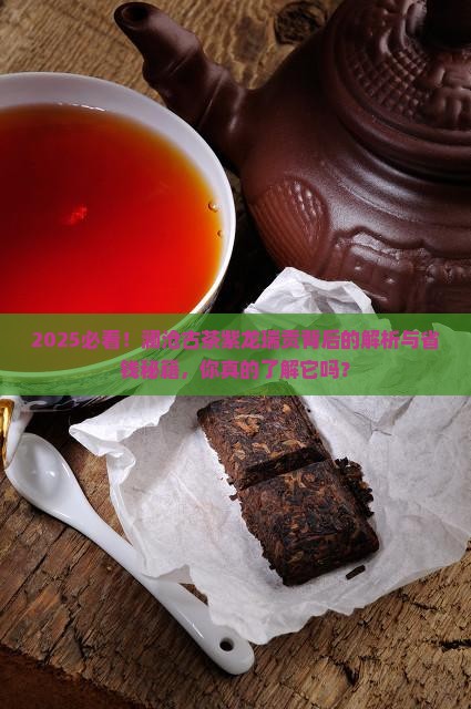 普洱茶澜沧古茶紫龙瑞贡