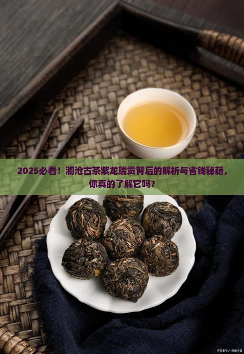 普洱茶澜沧古茶紫龙瑞贡