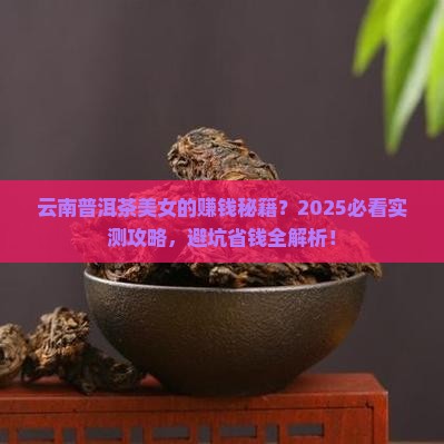 云南卖普洱茶的美女