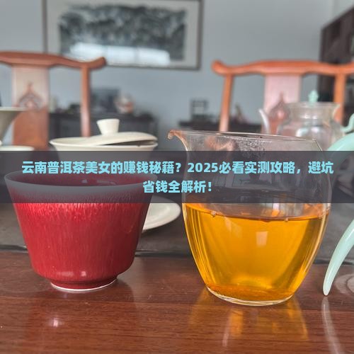 云南卖普洱茶的美女