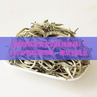 云南卖普洱茶的美女