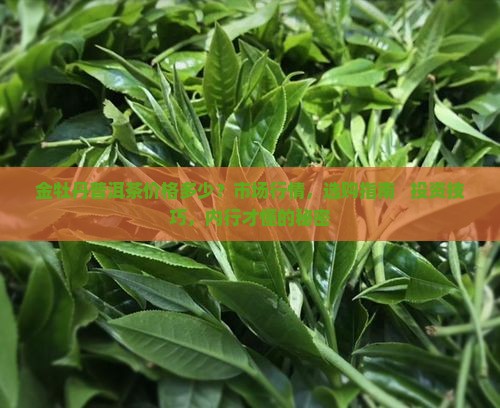 金牡丹普洱茶价格