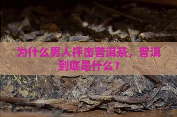 男人抨击普洱茶 男人抨击普洱茶