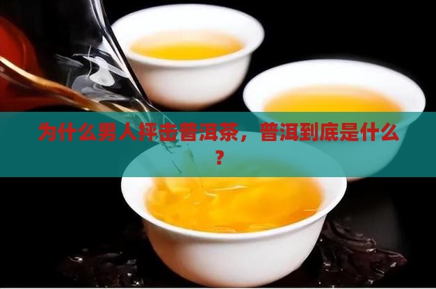男人抨击普洱茶 男人抨击普洱茶