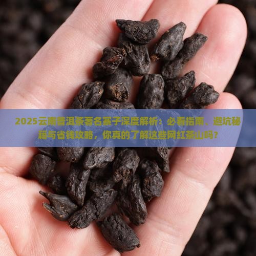 云南普洱茶著名的寨子