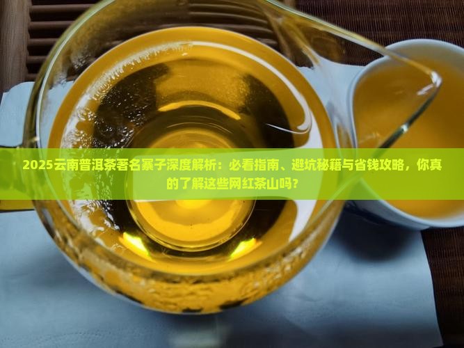 云南普洱茶著名的寨子