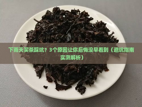 下雨天购买到普洱茶