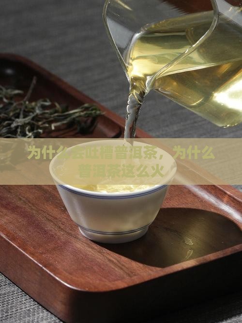 为什么会吐槽普洱茶
