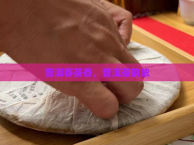 春天的味道少不了普洱茶 春天的味道少不了普洱茶