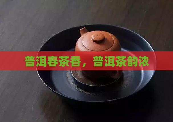 春天的味道少不了普洱茶 春天的味道少不了普洱茶
