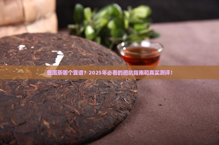 普洱茶什么品牌有保障性