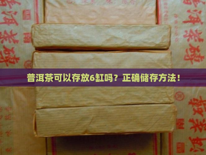 普洱茶可以存放6缸吗