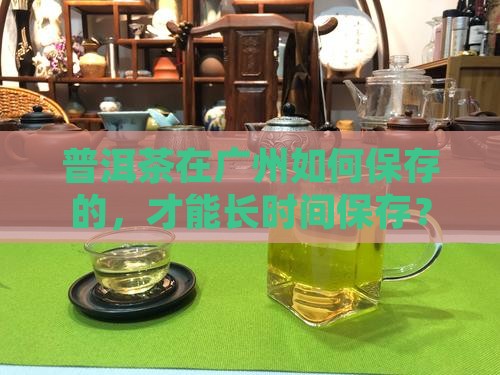 普洱茶在广州如何保存的