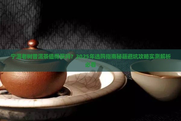 宁洱老树普洱茶 宁洱老树普洱茶