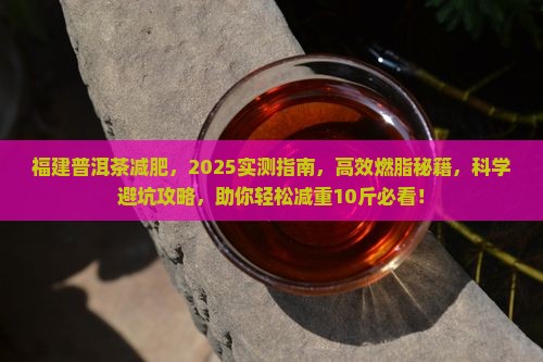 福建普洱茶减肥