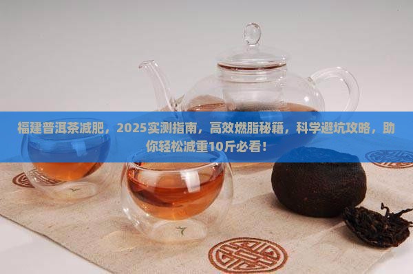 福建普洱茶减肥