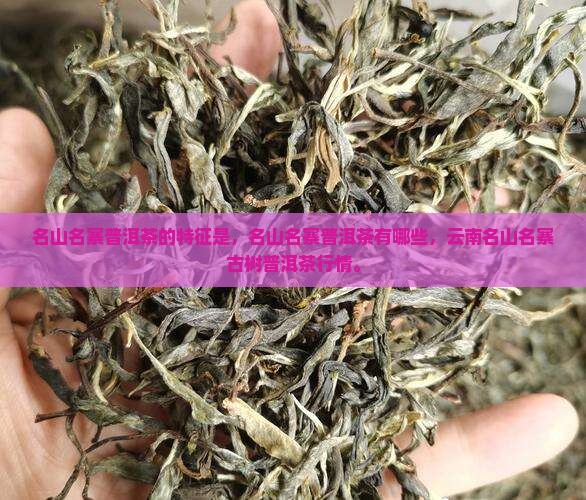 名山名寨普洱茶的特征是
