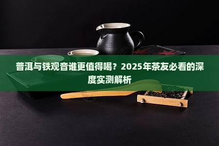 普洱与铁观音谁好