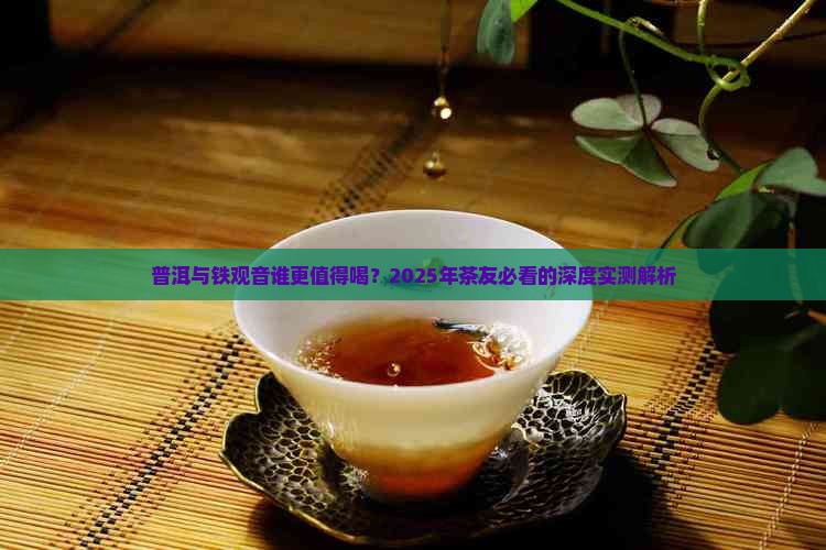 普洱与铁观音谁好