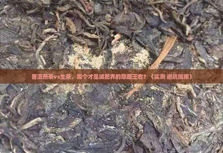 普洱熟茶与生茶哪个减肥