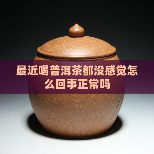 最近喝普洱茶都没感觉