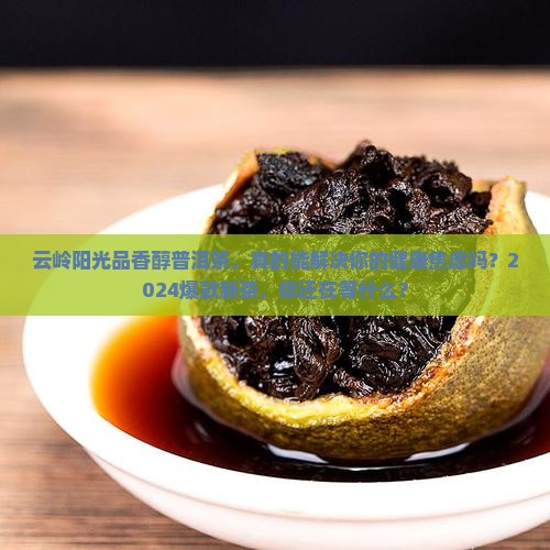 云岭阳光品香醇普洱茶