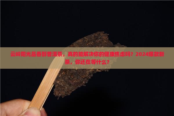 云岭阳光品香醇普洱茶