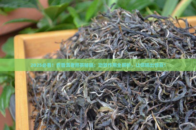 煮普洱茶老熟茶的功效作用