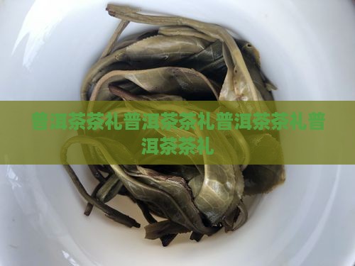 普洱茶中华茶礼