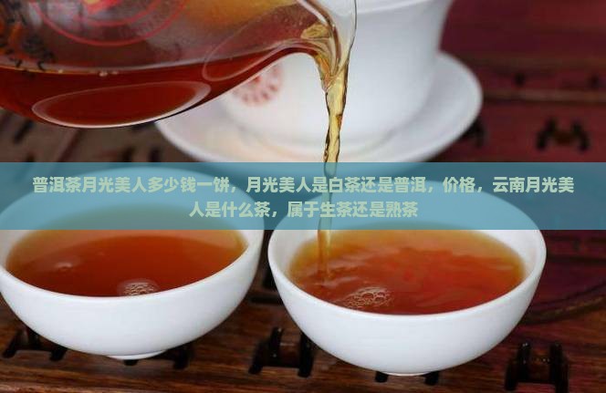 普洱茶月光美人多少钱一饼