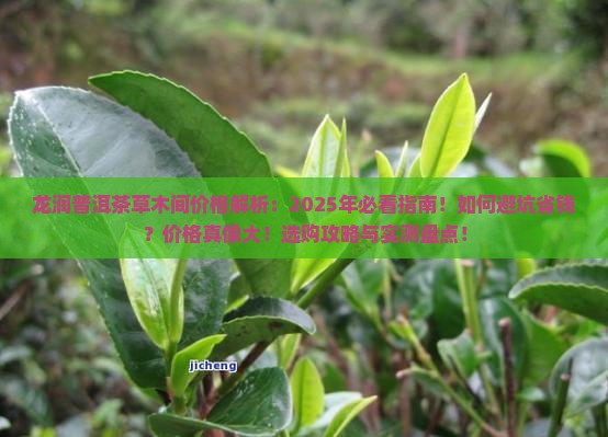 龙润普洱茶草木间价格
