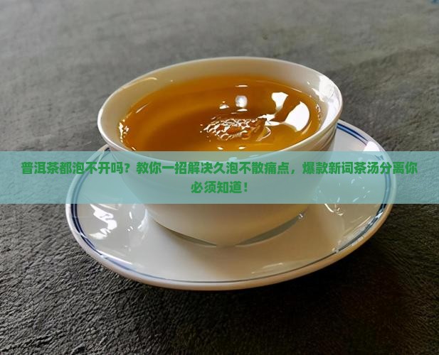 普洱茶都泡不开吗