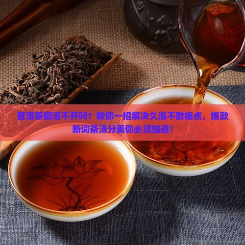 普洱茶都泡不开吗