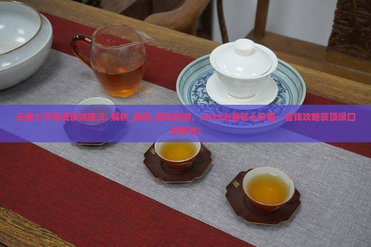 云南七子普洱茶饼唐汉