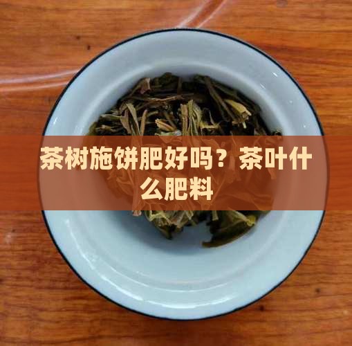 茶树施饼肥好吗