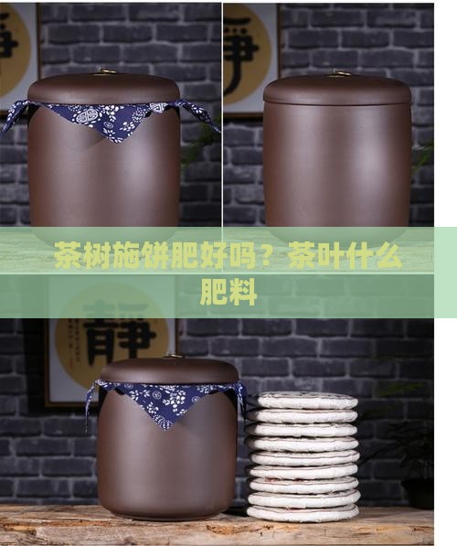 茶树施饼肥好吗