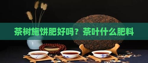 茶树施饼肥好吗